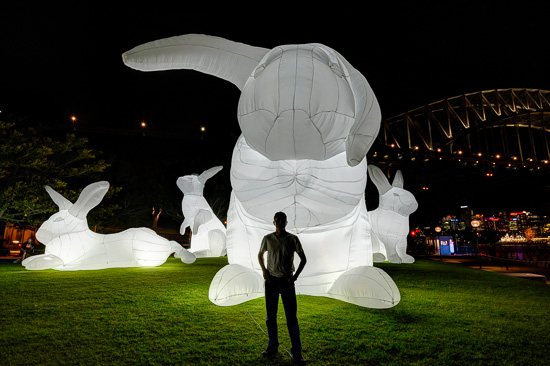 Intrude – Vivid Festival Sydney 2014, Photo Credit Rodney Campbell (Image 1)